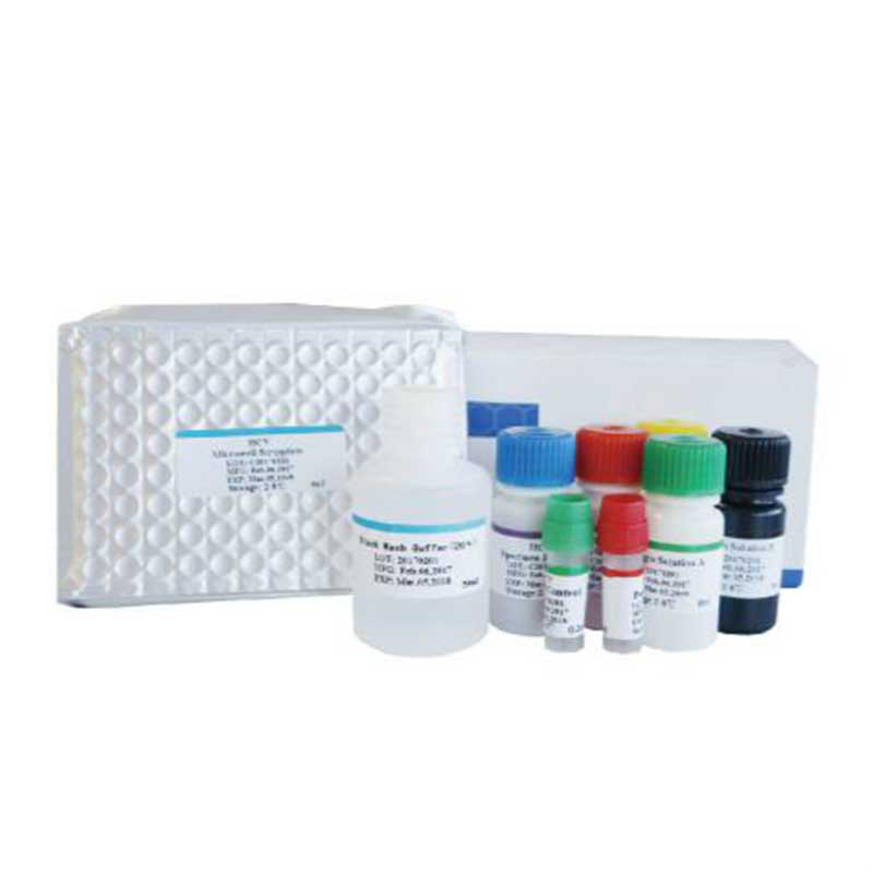 Elisa Test Kits Human 96T/48T Qualitative Enzyme Immunoassay Kit