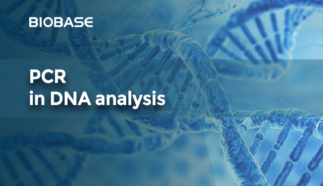 PCR en análisis de ADN