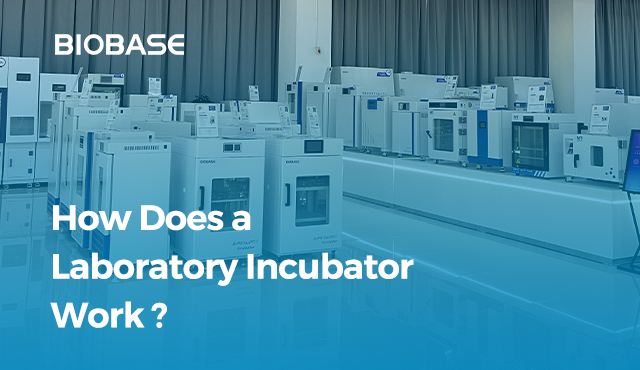 ¿CÓMO FUNCIONA UNA INCUBADORA DE LABORATORIO?