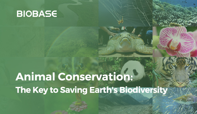 Conservación de la vida silvestre: la importancia de salvar la biodiversidad de la Tierra