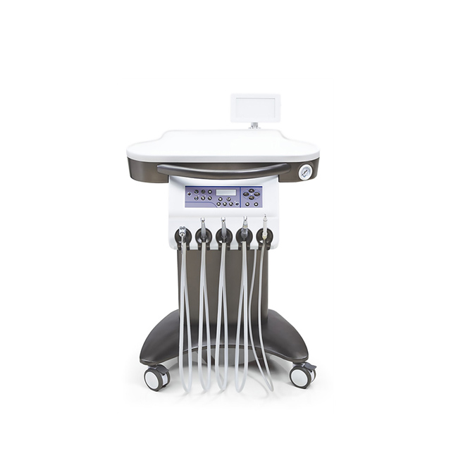 Dental Chair PEONY-2300