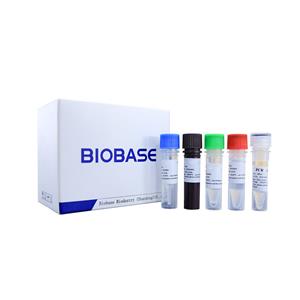 مجموعة الكشف عن فيروس كورونا المستجد (2019-فيروس كورونا المستجد) باستخدام الحمض النووي (تفاعل البوليميراز المتسلسل الفلوري)