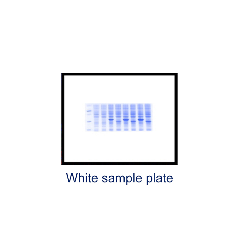 Automatic Gel Imaging and Analysis System BK-AG100