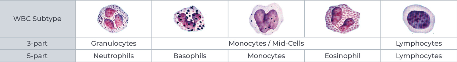 5-Part Differential Hematology Analyzer Buyer's Guide