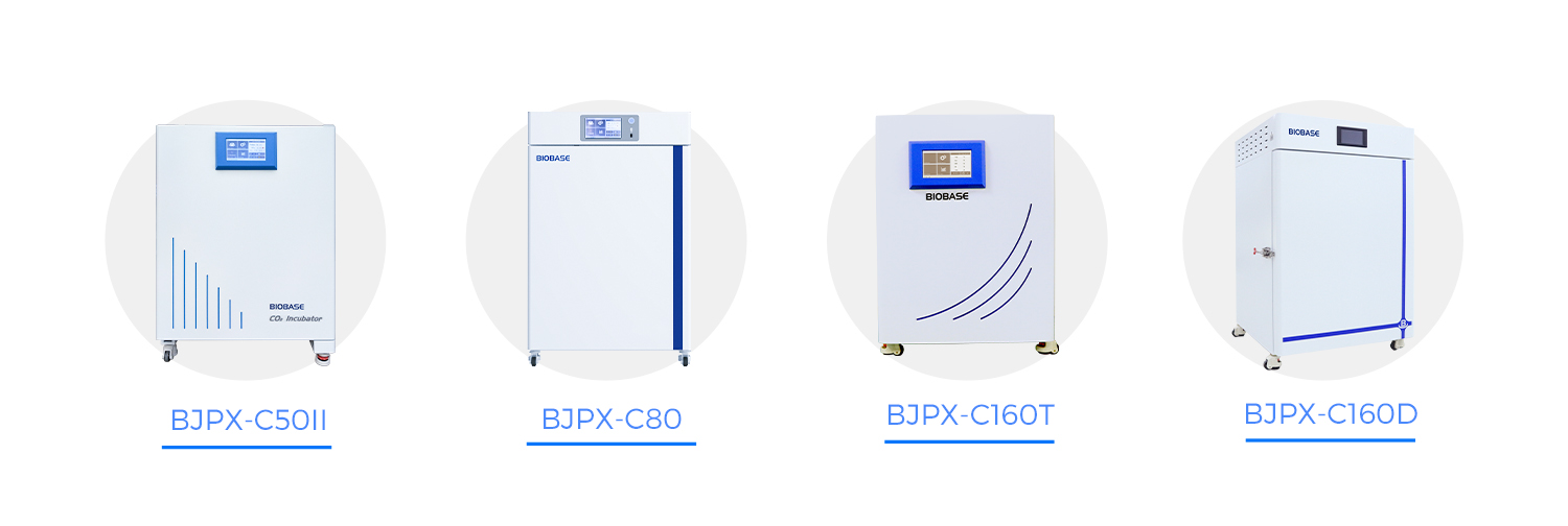 Deciphering those things about BIOBASE Incubators