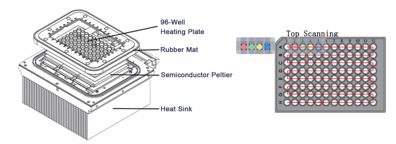 Fluorescent Quantitative Detection System