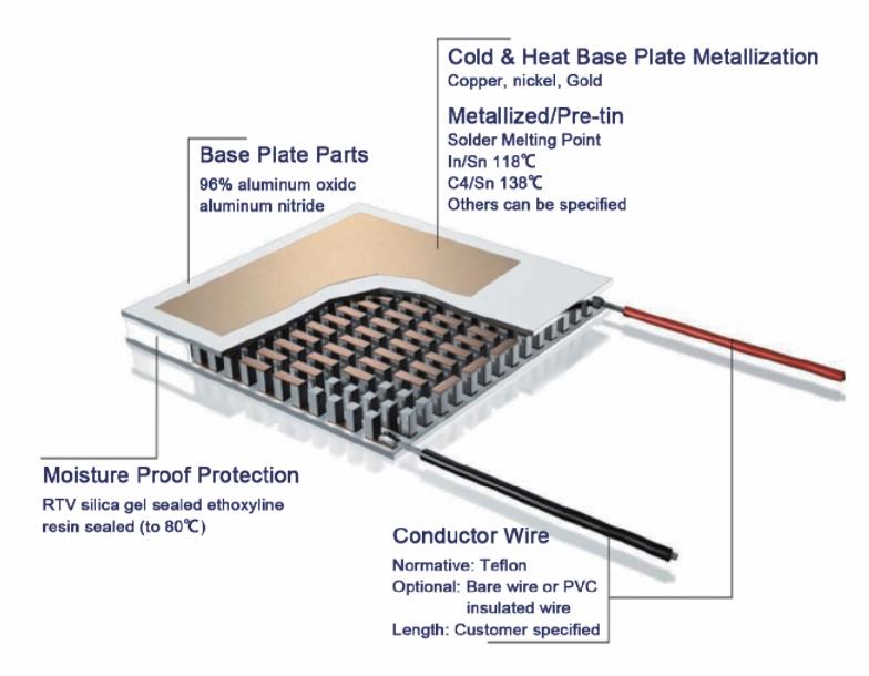 Fluorescent Quantitative Detection System