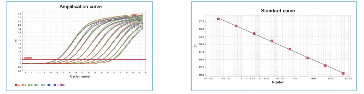 Fluorescent Quantitative Detection System