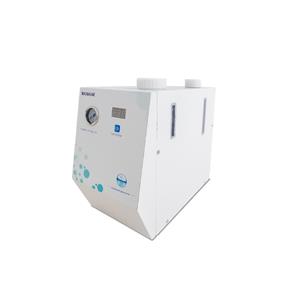 Wasserstoffgenerator BK-HYG-600P