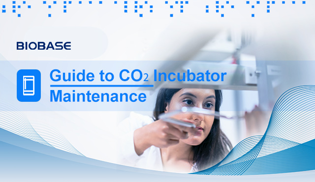 Guía de mantenimiento de incubadoras de CO₂
