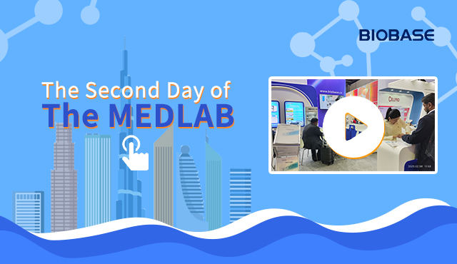 اليوم الثاني من ميدلاب
