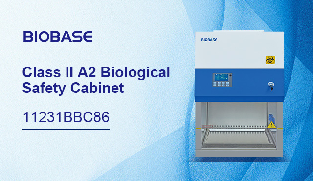 Cabina de seguridad biológica BIOBASE Clase II A2 11231 BBC 86