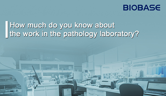 ¿Cuánto sabes sobre el trabajo en el laboratorio de patología?