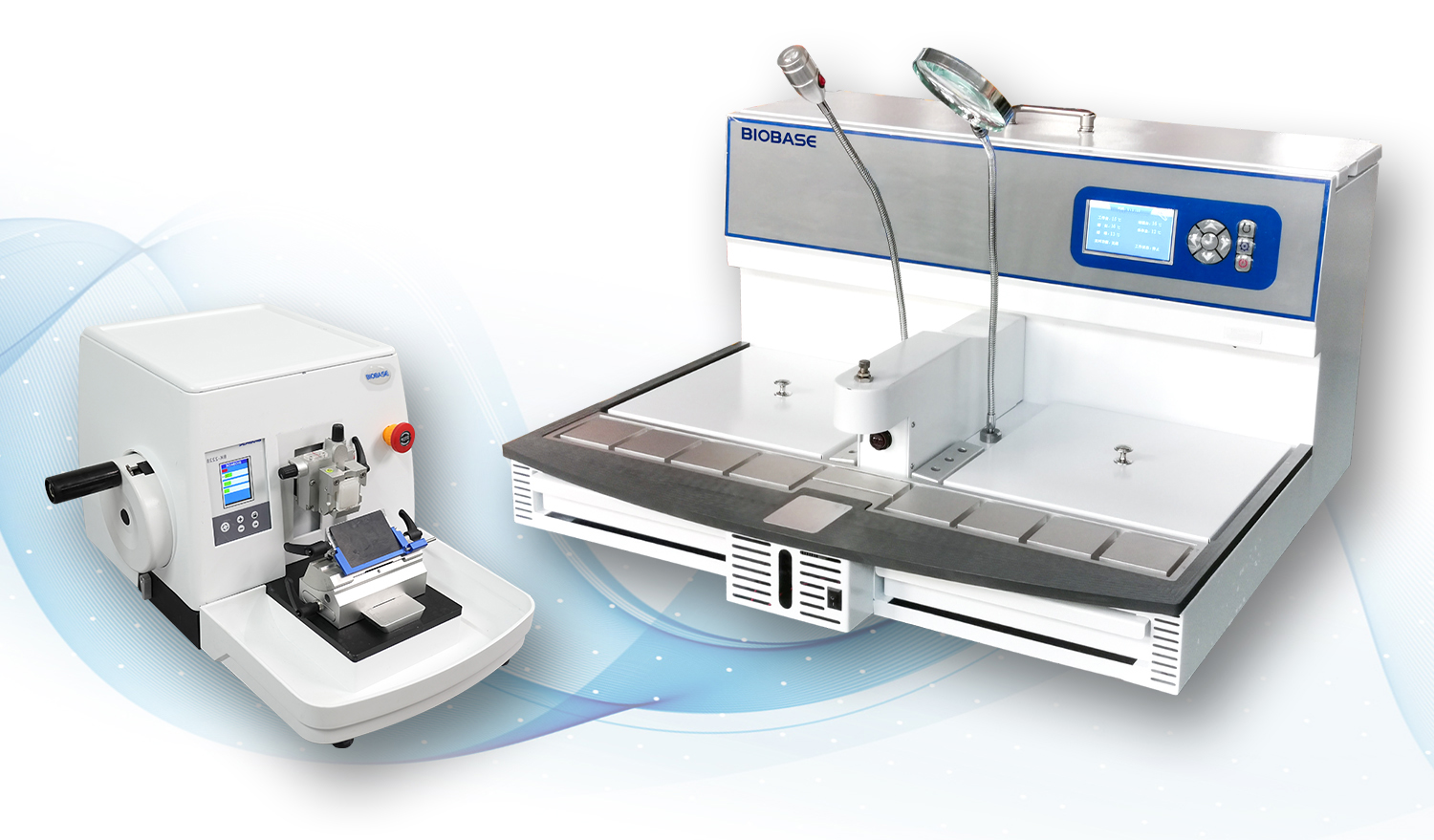 How much do you know about the work in the pathology laboratory?