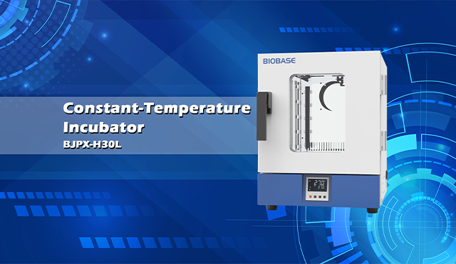 Incubadora de temperatura constante BIOBASE BJPX--H30L