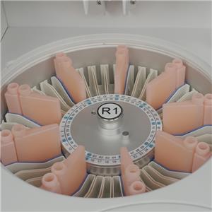 Analizador de química bioquímica sanguínea humana totalmente automatizado BK-600 Biobase — imagen 6