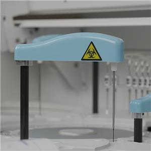 Analizador de química bioquímica sanguínea humana totalmente automatizado BK-600 Biobase — imagen 2