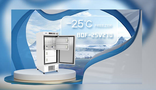 Congelador Biobase -25℃ BDF-25V270