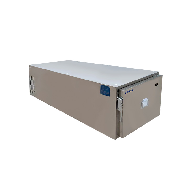 Comprar Congelador de morgue BK-XG1 BK-XG2 BK-XG3 BK-XG4 BK-XG6, Congelador de morgue BK-XG1 BK-XG2 BK-XG3 BK-XG4 BK-XG6 Precios, Congelador de morgue BK-XG1 BK-XG2 BK-XG3 BK-XG4 BK-XG6 Marcas, Congelador de morgue BK-XG1 BK-XG2 BK-XG3 BK-XG4 BK-XG6 Fabricante, Congelador de morgue BK-XG1 BK-XG2 BK-XG3 BK-XG4 BK-XG6 Citas, Congelador de morgue BK-XG1 BK-XG2 BK-XG3 BK-XG4 BK-XG6 Empresa.