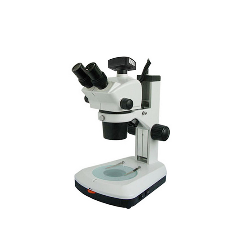 Comprar Microscopio estéreo con zoom continuo para computadora XTL-BM-8TD (6.3-50X), Microscopio estéreo con zoom continuo para computadora XTL-BM-8TD (6.3-50X) Precios, Microscopio estéreo con zoom continuo para computadora XTL-BM-8TD (6.3-50X) Marcas, Microscopio estéreo con zoom continuo para computadora XTL-BM-8TD (6.3-50X) Fabricante, Microscopio estéreo con zoom continuo para computadora XTL-BM-8TD (6.3-50X) Citas, Microscopio estéreo con zoom continuo para computadora XTL-BM-8TD (6.3-50X) Empresa.