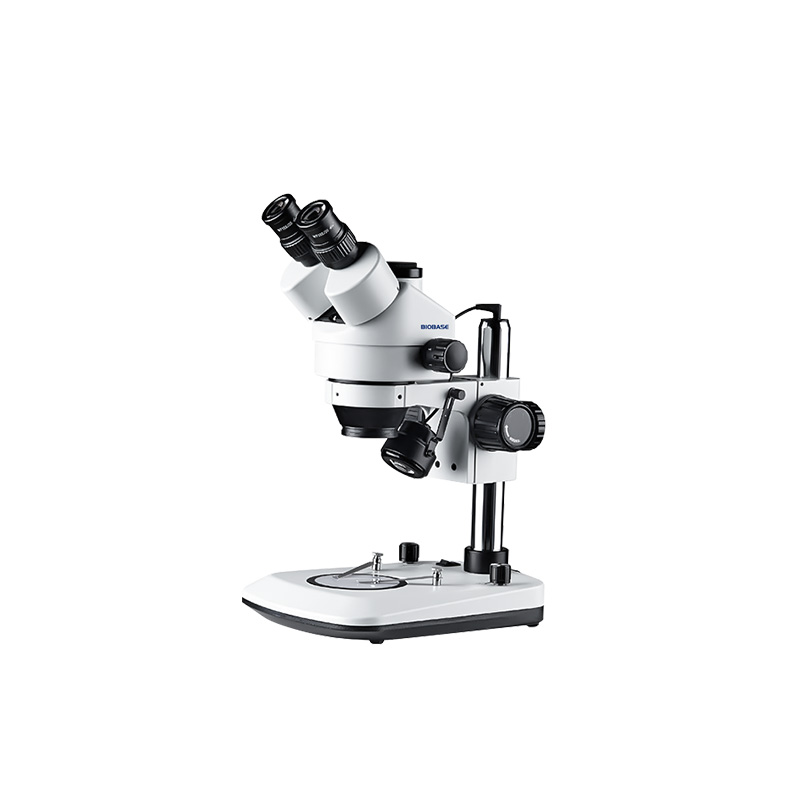 Stereo Zoom Microscope