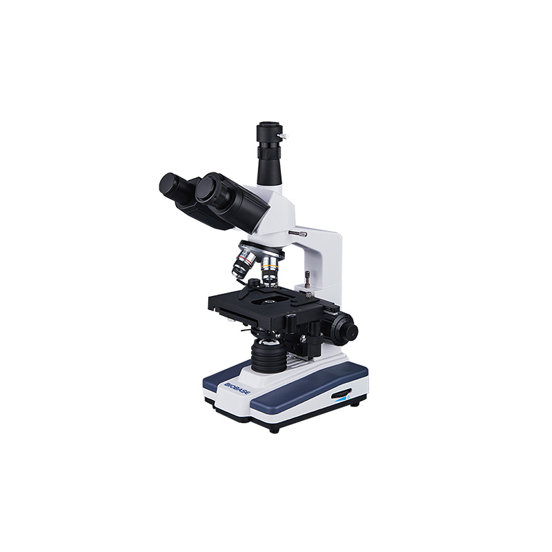 Acheter Microscope biologique BM-F101 BM--F102 BM-F103 BM-F104 BM-F105 BM-F106 BM-F108,Microscope biologique BM-F101 BM--F102 BM-F103 BM-F104 BM-F105 BM-F106 BM-F108 Prix,Microscope biologique BM-F101 BM--F102 BM-F103 BM-F104 BM-F105 BM-F106 BM-F108 Marques,Microscope biologique BM-F101 BM--F102 BM-F103 BM-F104 BM-F105 BM-F106 BM-F108 Fabricant,Microscope biologique BM-F101 BM--F102 BM-F103 BM-F104 BM-F105 BM-F106 BM-F108 Quotes,Microscope biologique BM-F101 BM--F102 BM-F103 BM-F104 BM-F105 BM-F106 BM-F108 Société,