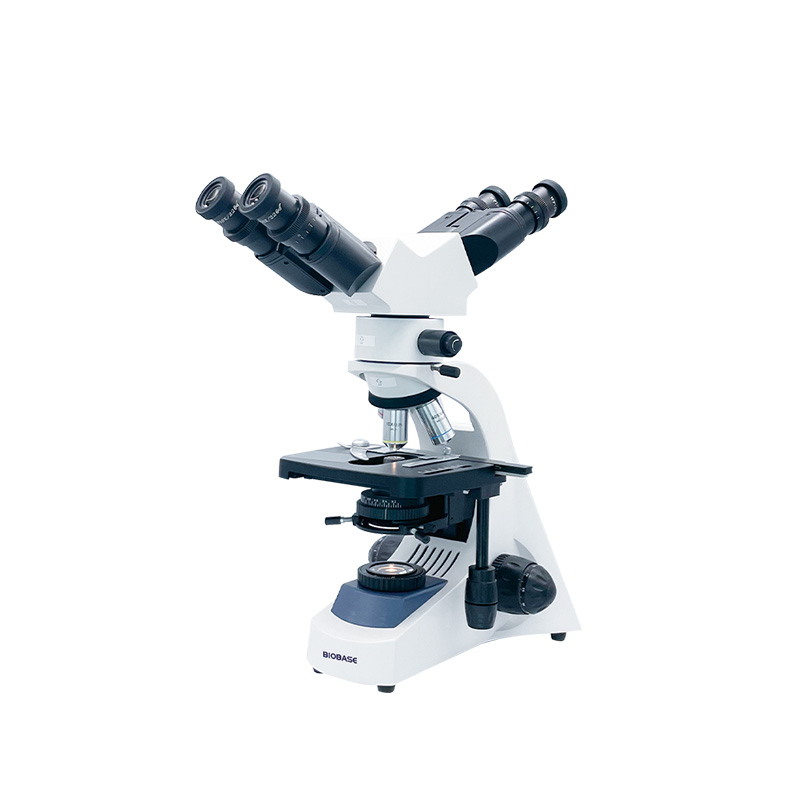 Acheter Microscope d'enseignement BBM-18F2 BBM-18F3 BBM-18F5,Microscope d'enseignement BBM-18F2 BBM-18F3 BBM-18F5 Prix,Microscope d'enseignement BBM-18F2 BBM-18F3 BBM-18F5 Marques,Microscope d'enseignement BBM-18F2 BBM-18F3 BBM-18F5 Fabricant,Microscope d'enseignement BBM-18F2 BBM-18F3 BBM-18F5 Quotes,Microscope d'enseignement BBM-18F2 BBM-18F3 BBM-18F5 Société,