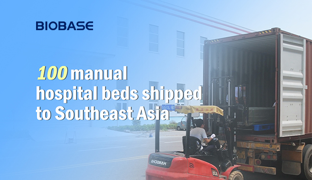 手動式病院用ベッド 100 台が東南アジアに出荷されました。