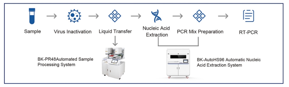 Automated Sample Processing System