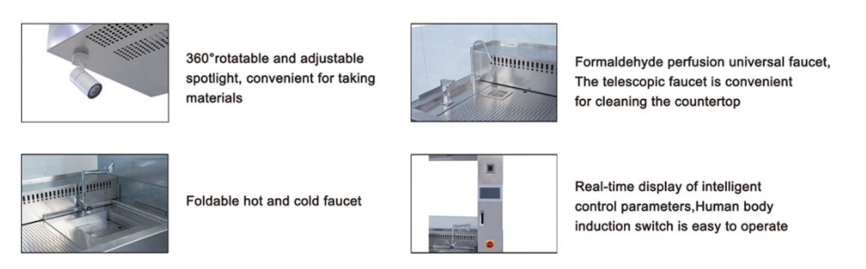 Laminar Flow Pathology Workstation