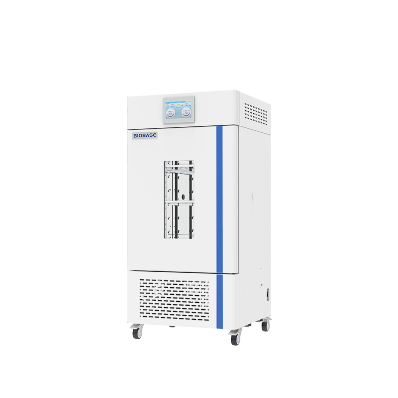 Mould Incubator(BJPX-MP)