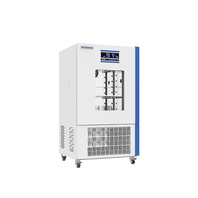 Mould Incubator(BJPX-MB)