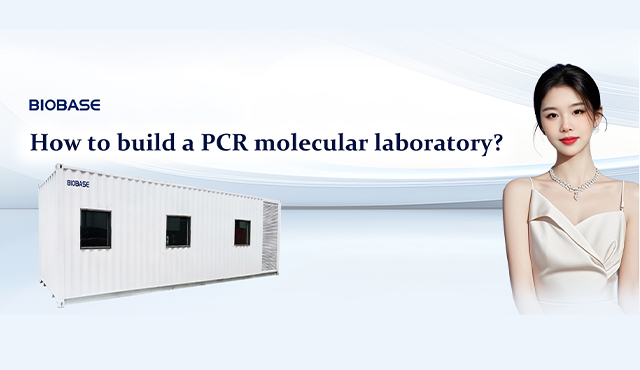 Von der Probe zum Ergebnis: Komplettlösungen für PCR-Laborgeräte