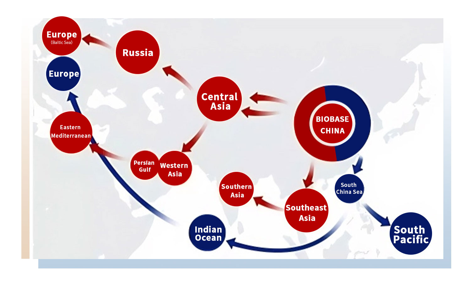 Efficient & Trusted: BIOBASE Ships Large Order to Central Asia