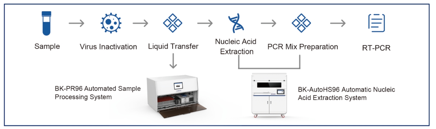 Automated Sample Processing System