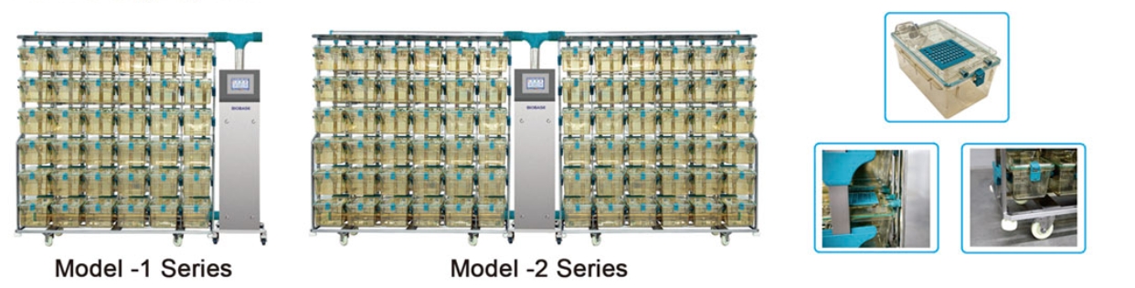 mouse cage with individual ventilation