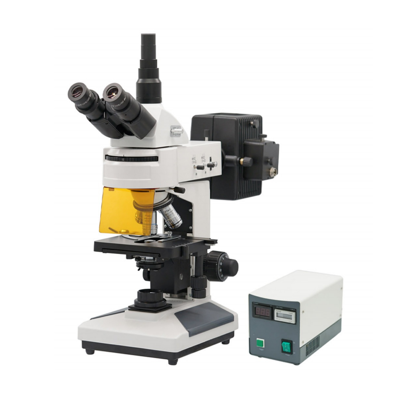 Fluorescence Biological Microscope(customize)