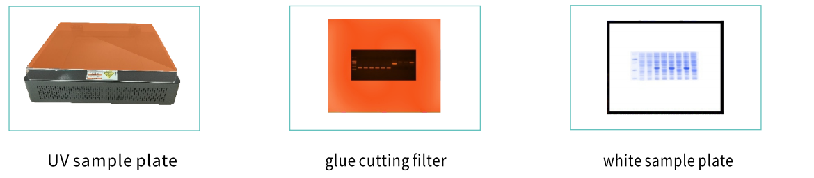 gel documentation and analysis system gel documentation and analysis system
