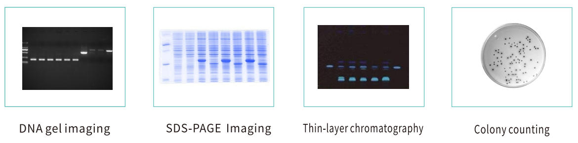 DNA gel imaging machine DNA gel imaging machine