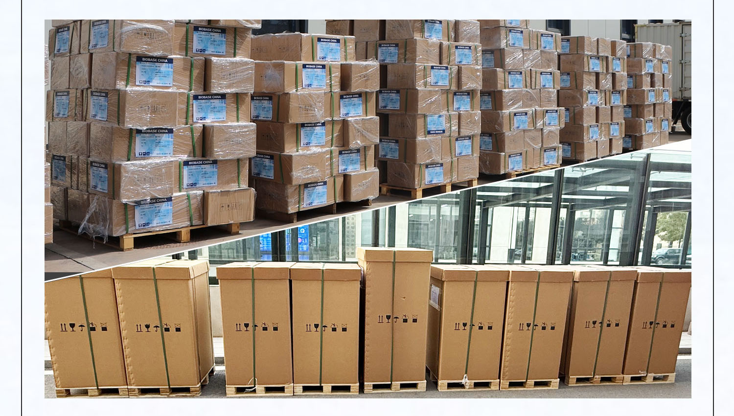 BIOBASE Has Shipped Over 100 Laboratory Equipment to Egypt