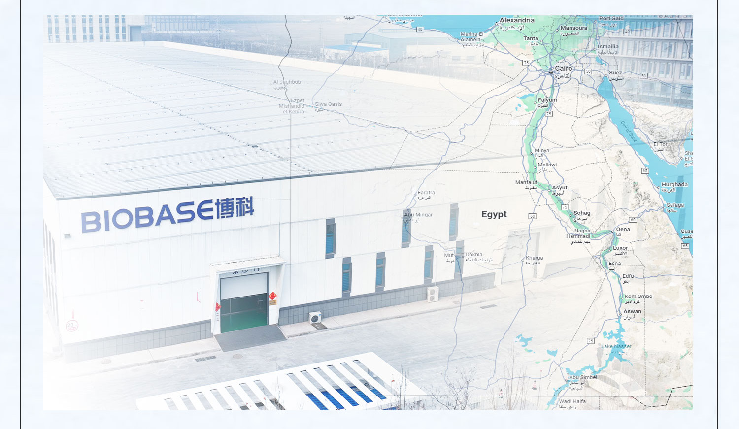 BIOBASE Has Shipped Over 100 Laboratory Equipment to Egypt