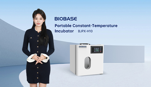 BIOBASE Portable Constant-Temperature Incubator BJPX-H10