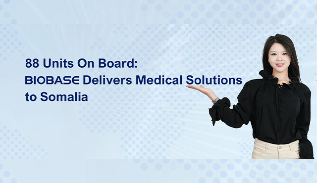 Überbrückung von Grenzen: BIOBASE liefert medizinische Lösungen nach Somalia