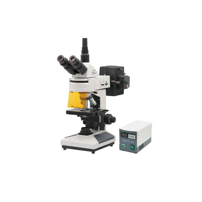 Fluorescence Biological Microscope BM-13CYII (Customized)