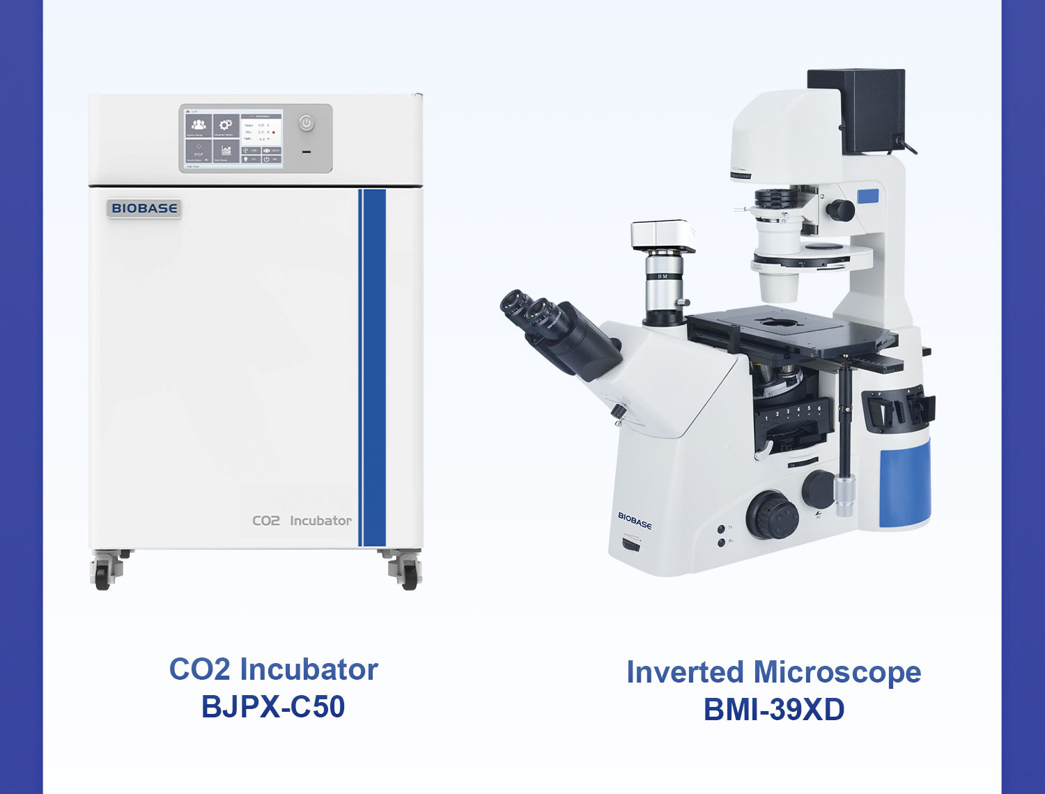 Nipah Virus Outbreak Prevention and Control: Nipah Virus Outbreak Prevention and Control: