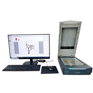Plant Root Analysis System