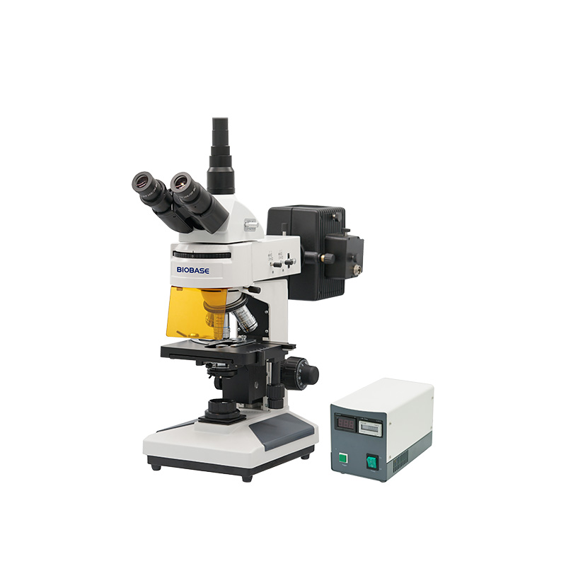 Fluorescence Biological Microscope