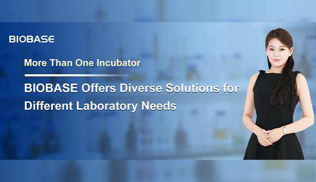 Plusieurs incubateurs : BIOBASE propose des solutions variées pour répondre aux différents besoins des laboratoires.