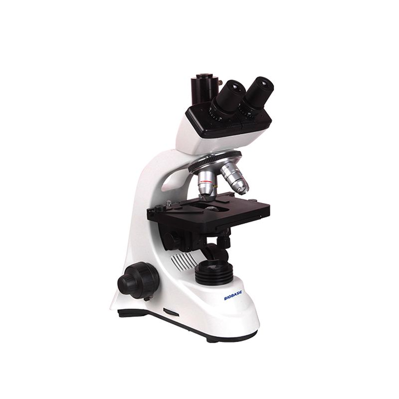 デジタルラボ用生物顕微鏡 XS-208B-FL（カスタマイズ品）