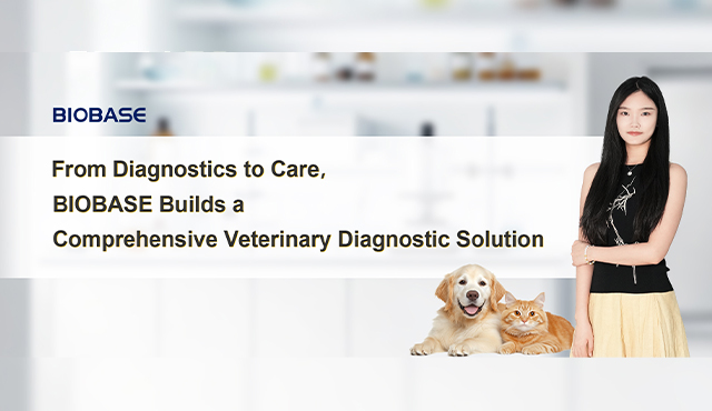 From Diagnostics to Care, BIOBASE Builds a Comprehensive Veterinary Diagnostic Solution